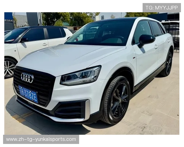 17万就能买到的德系豪华SUV！新款奥迪Q2L上市