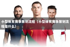小型体育赛事策划流程（小型体育赛事策划流程是什么）