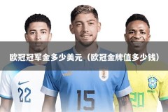 欧冠冠军金多少美元（欧冠金牌值多少钱）