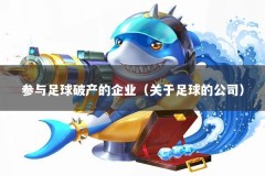 参与足球破产的企业（关于足球的公司）