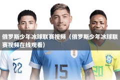 俄罗斯少年冰球联赛视频（俄罗斯少年冰球联赛视频在线观看）
