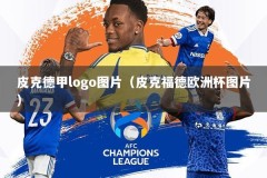 皮克德甲logo图片（皮克福德欧洲杯图片）