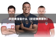欧冠黄潜是什么（欧冠黄牌累积）