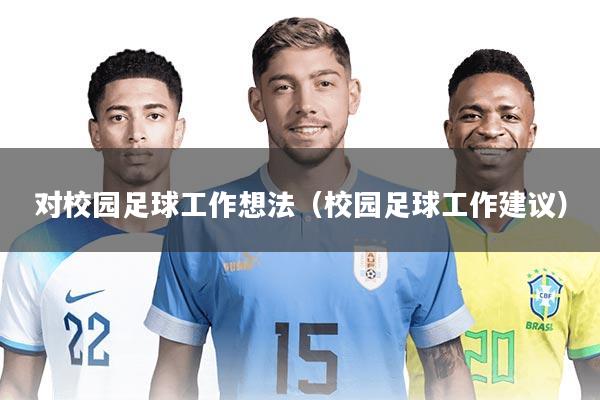 对校园足球工作想法(校园足球工作建议)